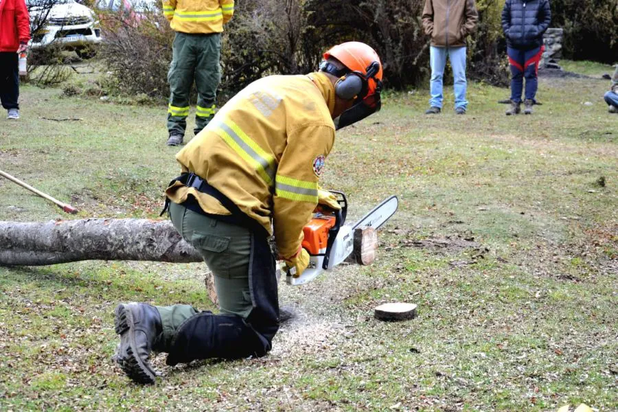 photo_4978743974223261321_y