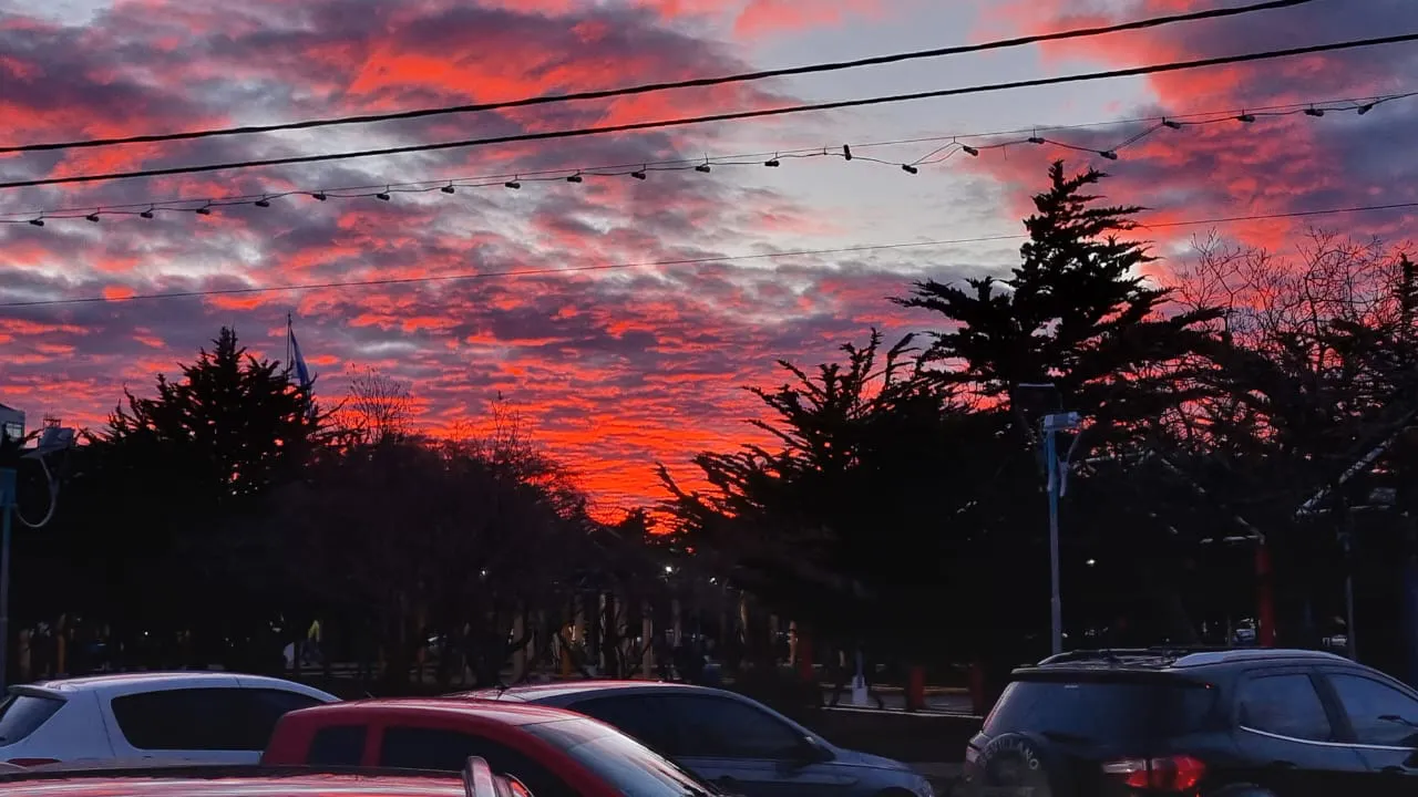 WhatsApp Image 2024-08-27 at 18.51.23