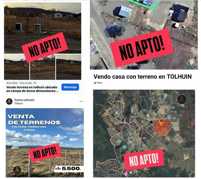 photo_4920613155243756439_y