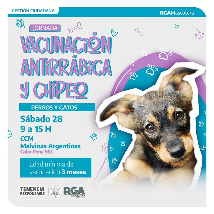 Este sábado se realizará una nueva jornada de vacunación antirrábica y chipeo 