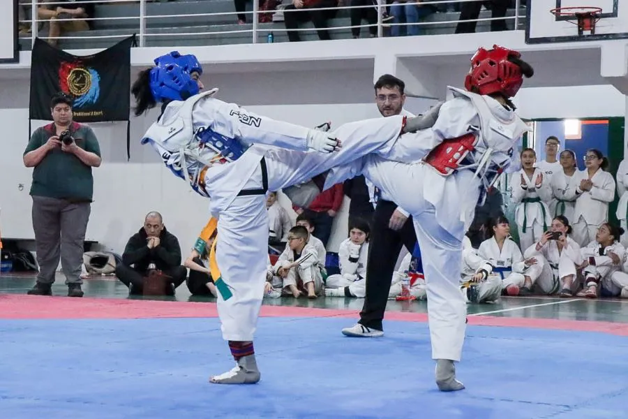 Se realizó la final provincial de Taekwondo de los Juegos Fueguinos (1)