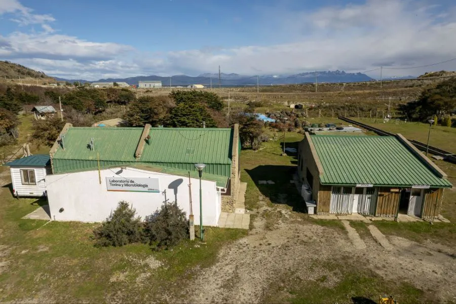 photo_5152203585751199452_y