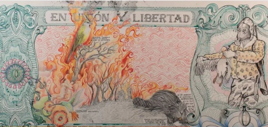 photo_5015179234065976205_y