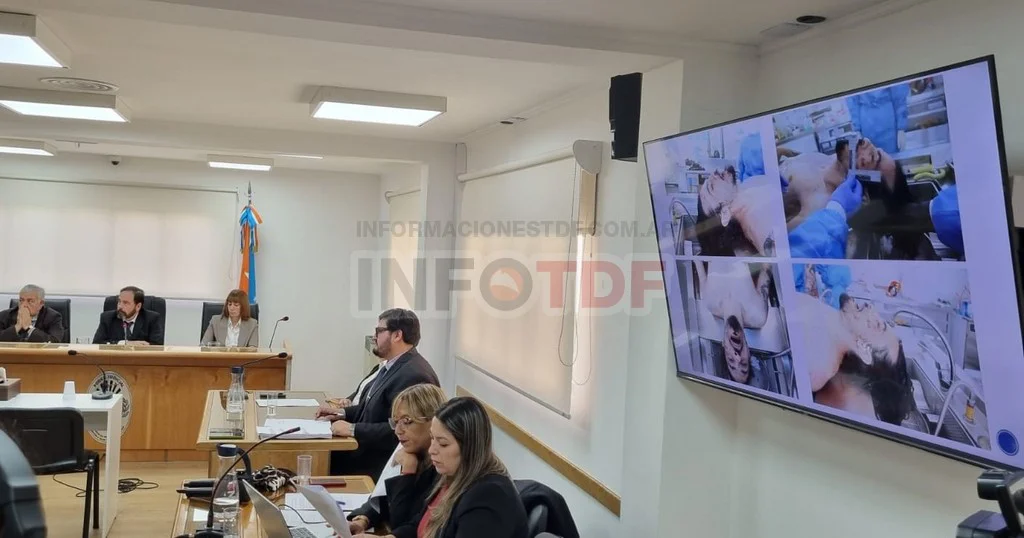 WhatsApp Image 2026-03-25 at 19.21.05