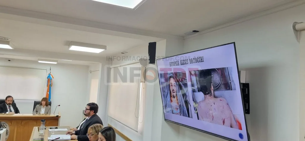 WhatsApp Image 2026-03-25 at 19.21.06 (1)