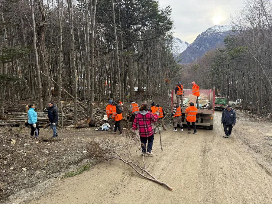 photo_5019527424592948979_y