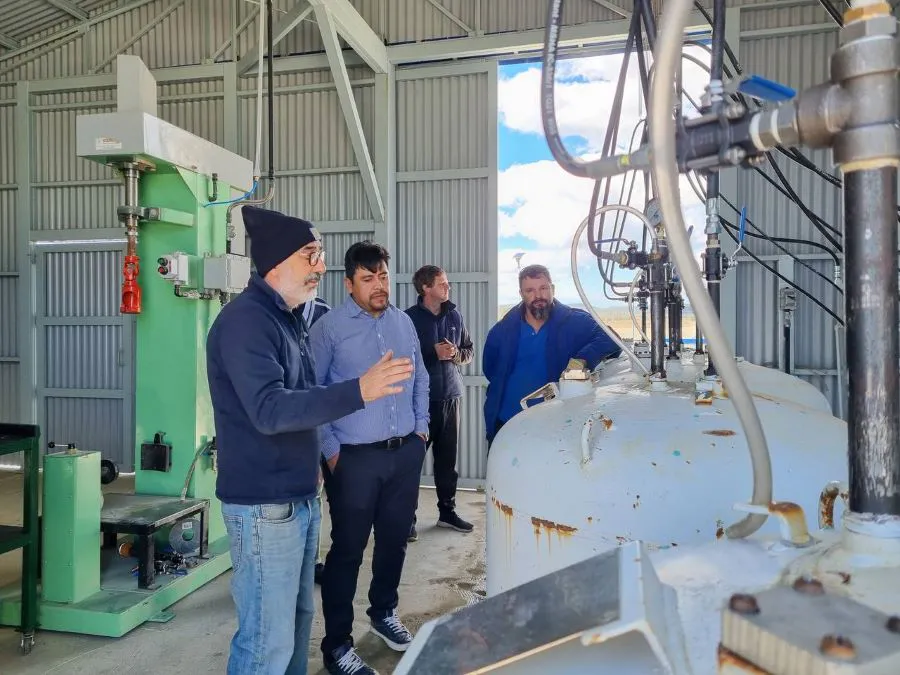 photo_4965762560125152720_y