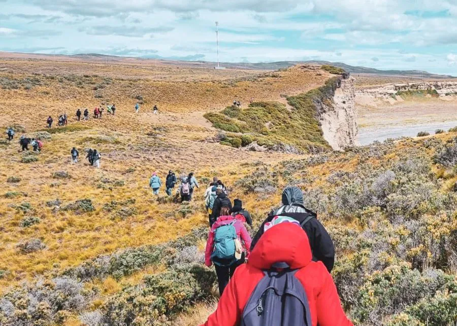 photo_4976949661441043868_w