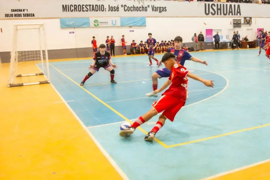 photo_5134105598588202612_y