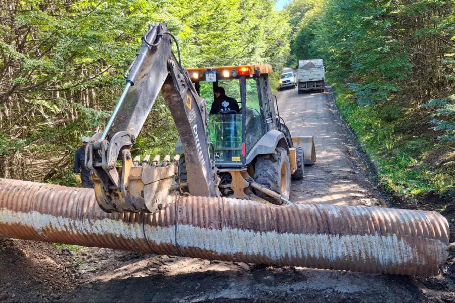 photo_4925053966744226711_y