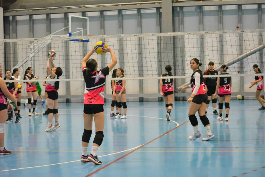 photo_5067091765034593962_y