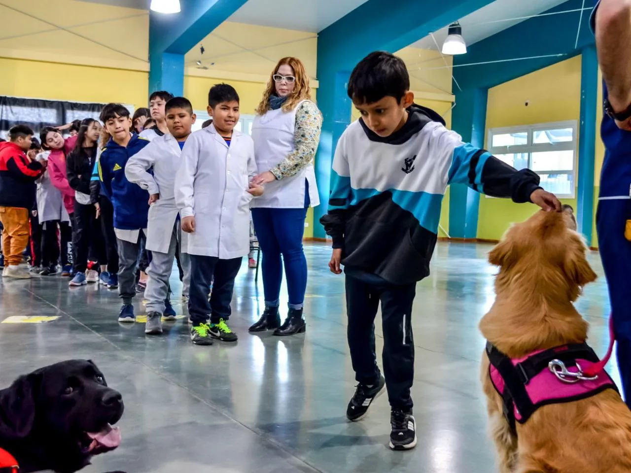 Alumnos de la Escuela N°41 trabajan junto al dispositivo de Terapia Asistida con Perros (2)