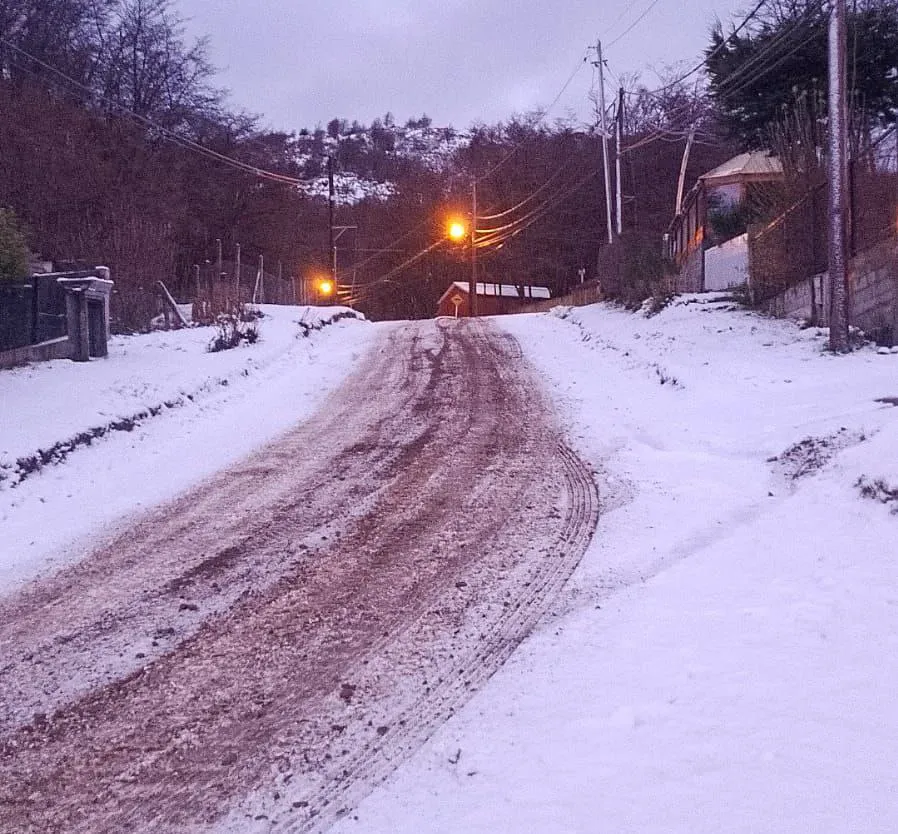 photo_5100760159696826711_y